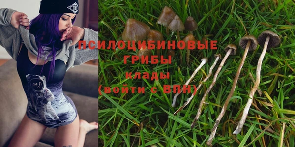 кокс Алзамай