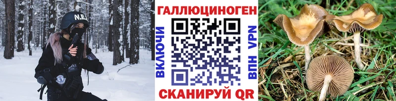 продажа наркотиков  Горнозаводск  Псилоцибиновые грибы GOLDEN TEACHER 